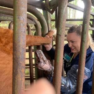 Meet your Posher, Colbey